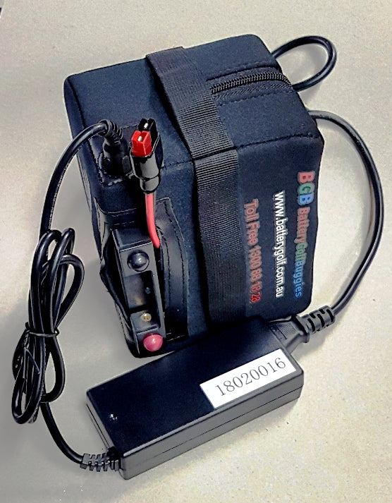 Battery Lithium BGB 22 Ah LiFePO4 4A 14.4V Lithium Charger