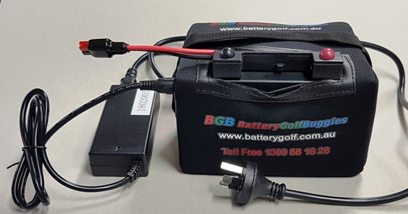 Battery Lithium BGB 12.8V 19Ah LiFePO4 4A 14.4V Lithium Charger