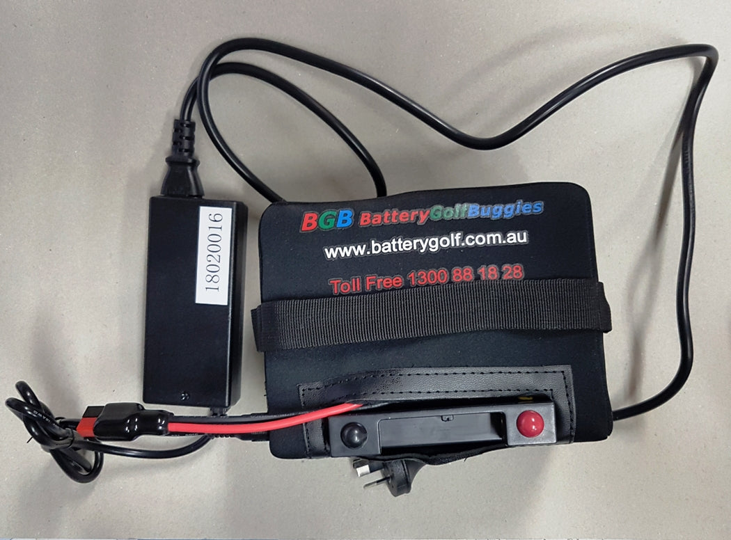 Battery Lithium BGB 12.8V 19Ah LiFePO4 4A 14.4V Lithium Charger